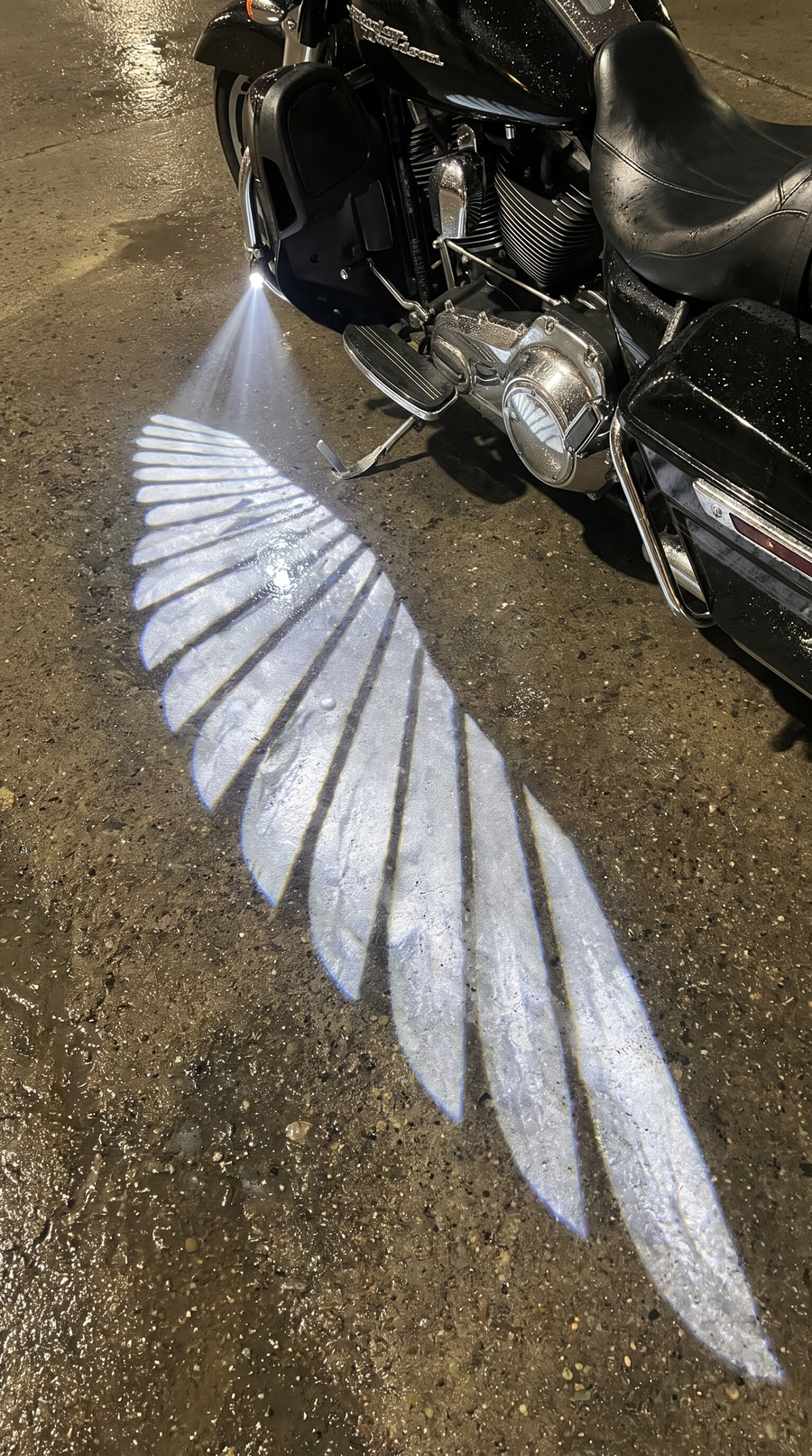 Angel wing close-up next to a touring bike